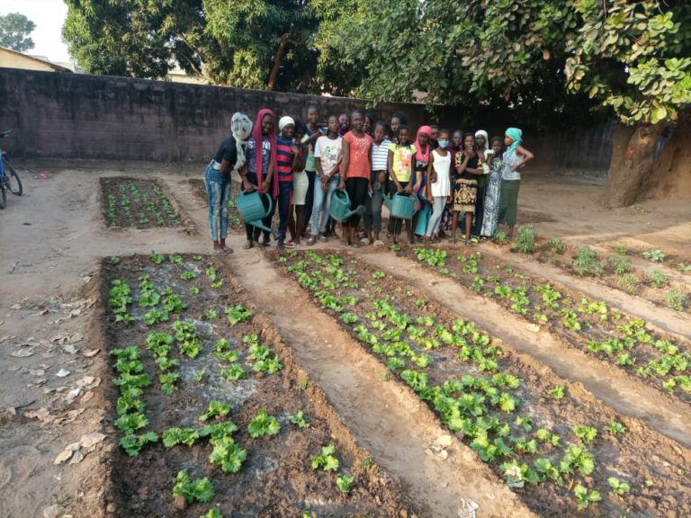 jardin potager collège