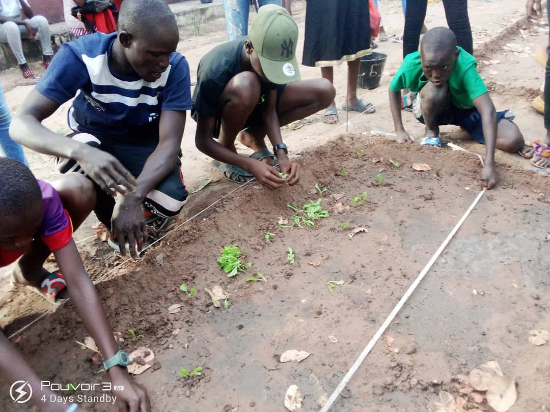 jardin potager collège