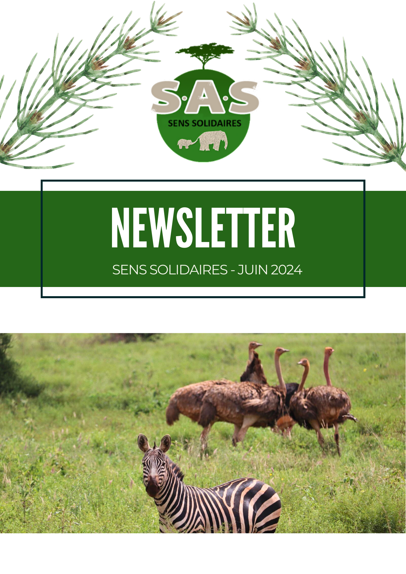 newsletter juin 2024