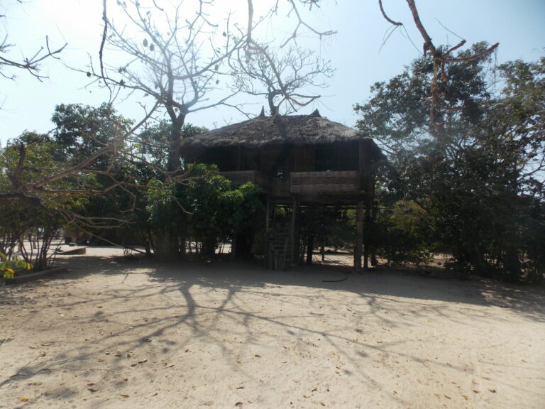 ile d'efrane sénégal