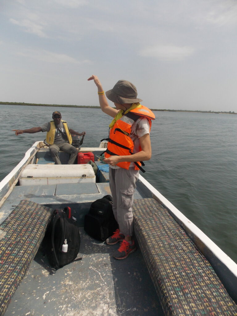 ile d'efrane sénégal pirogue