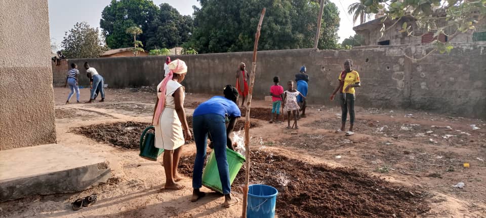 jardin potager sénégal concerto 2 (2)