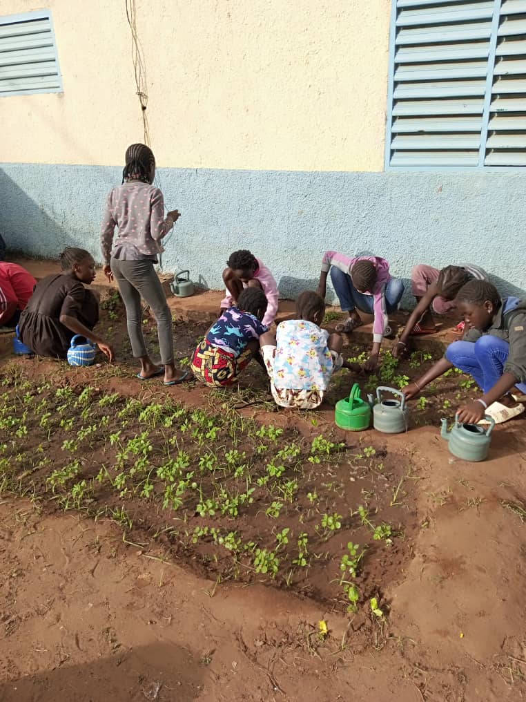 jardin potager sénégal concerto 2