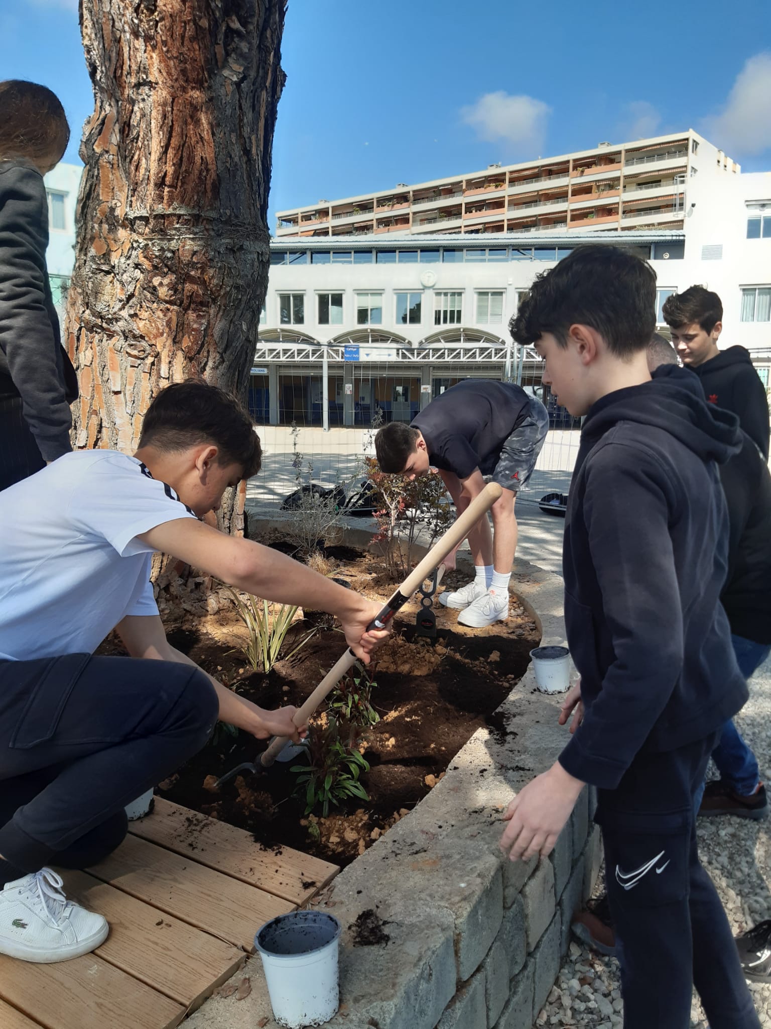 plantation collège raoul Duffy